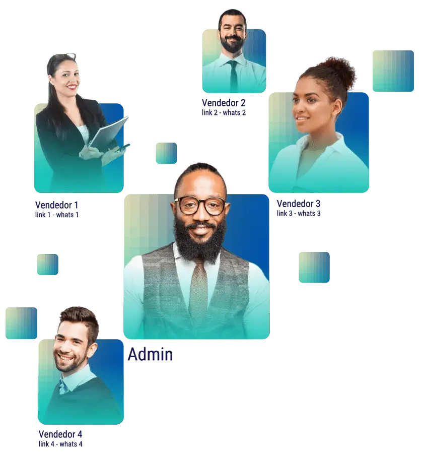 categorize catálogo whatsapp